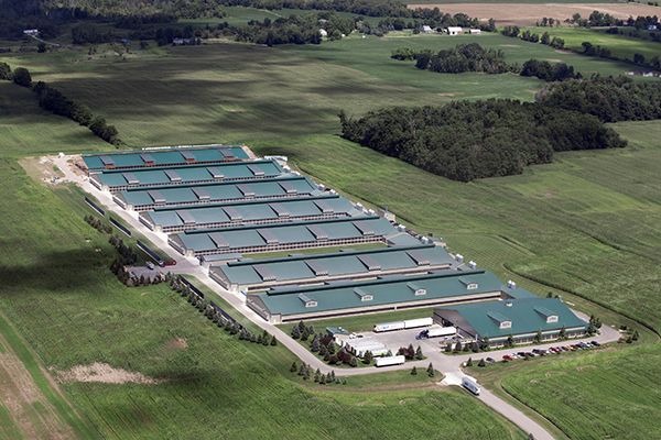 Цзянси Умный Дом Inc.