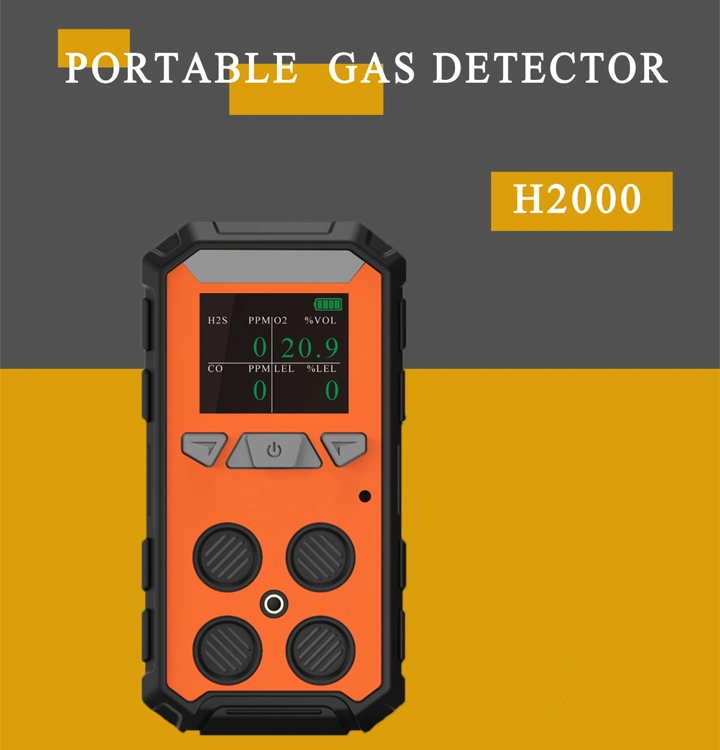 Mutil Gas Detector with 1000 Alarm Records and Connecting PC